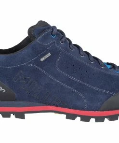 CHAUSSURES D'APPROCHE MILLET FRICTION GTX BLEU