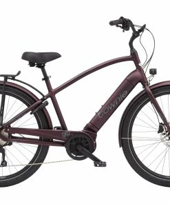 VÉLO DE VILLE ELECTRA TOWNIE PATH GO BOSCH