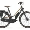 VÉLO DE VILLE ÉLECTRIQUE GAZELLE CITYGO C7 HMS 2021 -vélo boutique 19147185fff0c320a10f0.63275643