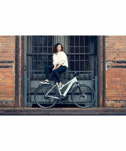 VÉLO ÉLECTRIQUE DE VILLE RIESE & MULLER ROADSTER 18 VÉLO ÉLECTRIQUE DE VILLE RIESE & MULLER ROADSTER -vélo boutique 21954906221d86bebfce8